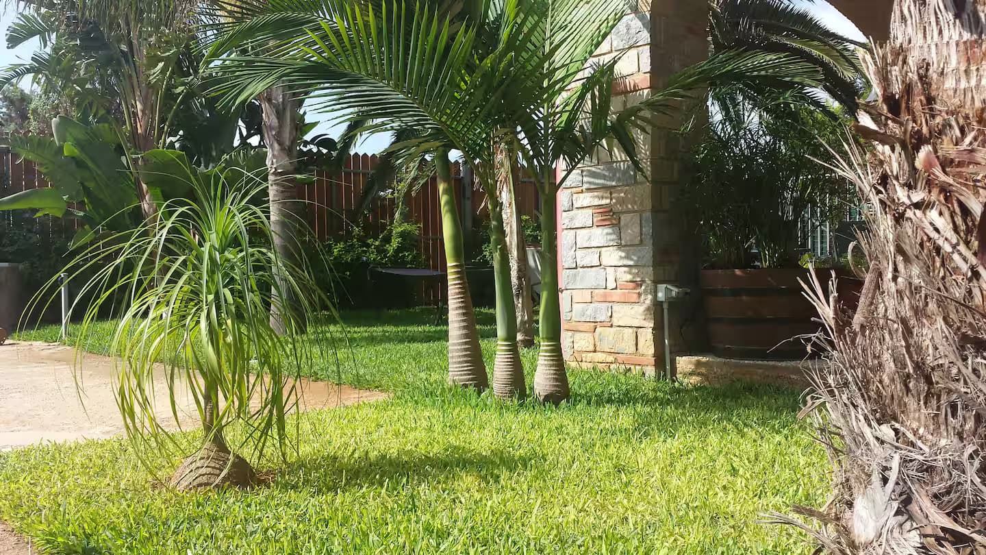 Spazi esterni e terrazze 8